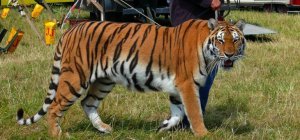 2021 : Des avancées pas si bêtes