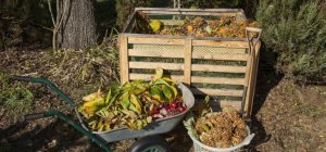 Comment produire du bio à la maison ? (Dossier spécial bio)