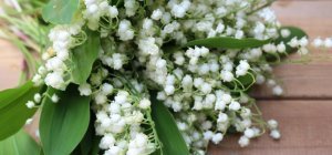 Que fête-t-on le 1er mai ?