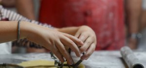 Quelles sont les nouveautés ?