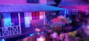 Exposition sur la Thaïlande : une véritable invitation au voyage