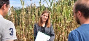 Aider les agriculteurs touchés par la sécheresse