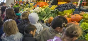 Semaine du goût : le Lot-et-Garonne à l'honneur