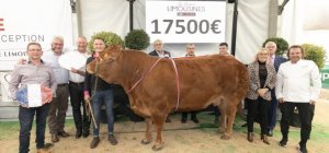 Journées limousines Or Rouge : un bilan positif 