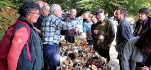 Entre promeneurs et chasseurs, la cohabitation est possible