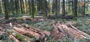 Travaux forestiers dans la forêt des Vaseix