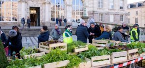 Des légumes limougeauds pour les Limougeauds