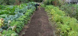 Appel à candidatures pour intégrer Pouss & Bio