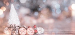 BONNE ANNÉE 2023 !