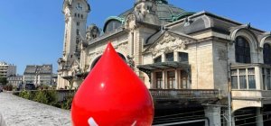 Mon sang pour les autres : Etre solidaire en ce début d'année