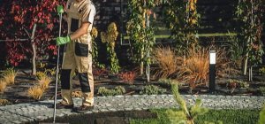 Maison Familiale Rurale de Beynac : des formations adaptées au territoire