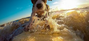 Vacances : quelles sont les envies des Français ? (Dossier spécial vacances)