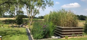 Une solution durable pour traiter les eaux usées