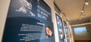 Richesse des mémoires OPEX