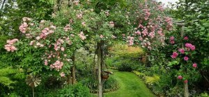 Des idées de sorties pour toutes les envies