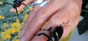 Des idées de sorties pour toutes les envies