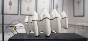 Des formes vibrantes, organiques et abstraites