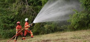 Adoptons les bons réflexes pour prévenir les feux de forêt