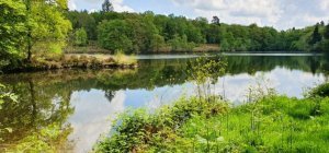 Les  48h Nature  : Que faire près de chez vous ?