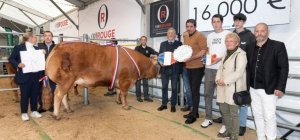 Journées limousines : un beau succès avec 15 000 visiteurs