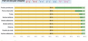 Diversité des filières bio en Nouvelle-Aquitaine (Dossier bio/environnement)