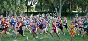 Cross du Limoges Étudiants Club : 31e édition !