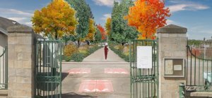 Renaturation : que souhaitent les Limougeauds pour le cimetière de Louyat ?