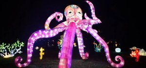 L'Odyssée lumineuse : une balade onirique