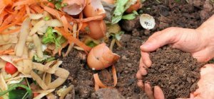 Distribution gratuite de compost