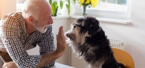 De la compagnie pour nos aînés (dossier spécial seniors)