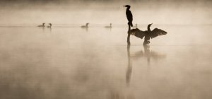 Des idées de sorties pour toutes les envies