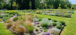 Un jardin pour mettre tous les sens en éveil