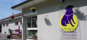 Les « Chiens Guides Days » à l'école du Centre-Ouest à Limoges