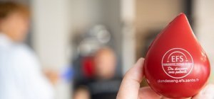 « Sang Pour Sang Campus » Limoges s'installe à Vanteaux