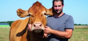 Une Limousine égérie du Salon de l'agriculture