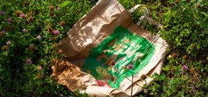 Tri des emballages ménagers et des papiers : la Nouvelle-Aquitaine se classe 4e