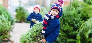 Les bons réflexes pour faire durer plus longtemps son sapin de Noël