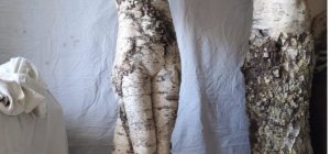 Des idées de sorties pour toutes les envies