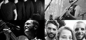 KRAB : offrez-vous une pince ou tout le plateau