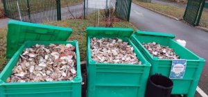 Près de 8 tonnes de coquilles valorisées