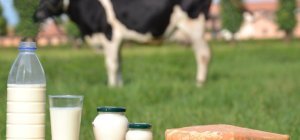 Lait et fromage bio, nos alliés santé (dossier spécial bio / environnement)
