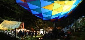 La forêt vous tend les bras