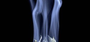 Itinéraires photographiques en Limousin : sept photographes à découvrir (C'est l'été !)