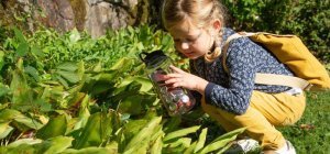 Tèrra Aventura : une nouvelle quête à Vassivière (C'est l'été !)