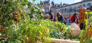 Un événement à régaler les yeux et les papilles