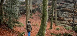  Tous en forêt  départementale des Vaseix avec l'ONF