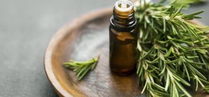Le romarin, un allié santé et beauté pour les seniors (supplément seniors)