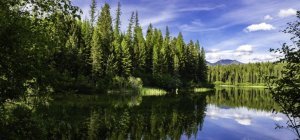  Le Grand Lab'Eau  : une 2e édition dédiée à l'eau et au bois