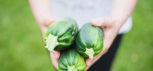 Quid du marché de la bio ? (Dossier spécial bio/environnement)