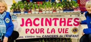 Des jacinthes contre le cancer de l'enfant